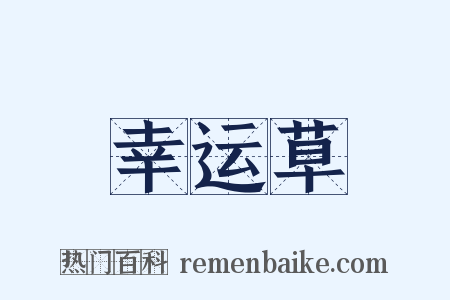 幸运草是什么意思的图片